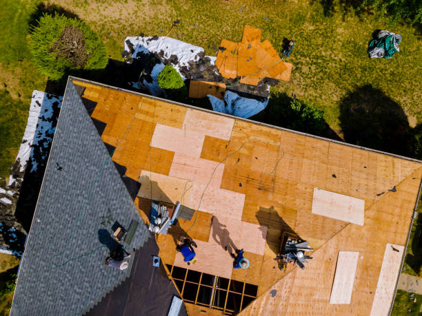 Best Roof Maintenance Services  in Plain City, OH