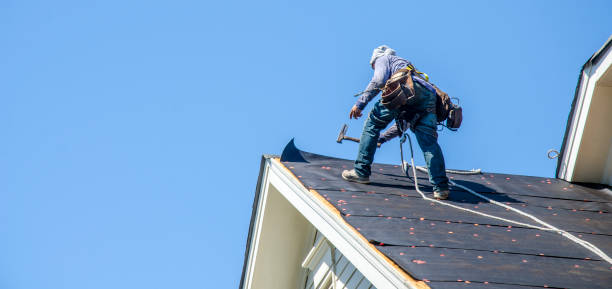 Best Roof Waterproofing Services  in Plain City, OH